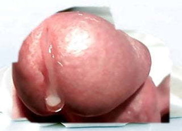 Cumshot - Nah Ran An Die Sahne