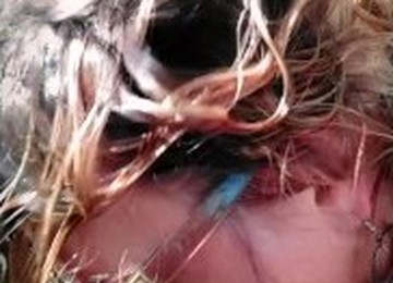 CAR BLOWJOB She Said: “I’M NOT YOUR WHORE And I Know You Will Upload This On Pornhub.” Yes, Bitch!