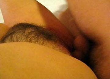 Posowanie  Owlosionej Cipki Zony