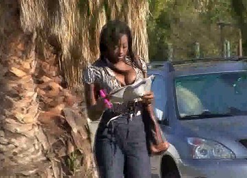 Lost And Found Black Beauty With Big Boobs Vanessa B Is Hammered Doggy