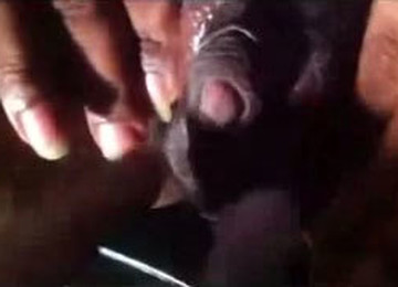 I Love Rubbing My Hefty Big Pussy In Front Of The Camera