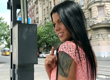 Dark-haired Cutie Sofia Is Finally Bonked In The Green Old Woods