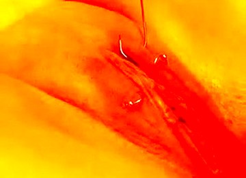 Exotic Amateur Fetish, Piercing Adult Movie