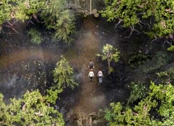 LUST EPIDEMIC - PART 32 - LADY IS LOOKING FOR FUN