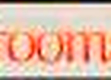 FitnessRooms Gym Users Sexual Fantasies All Come True