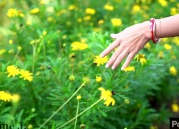 Jasmine J - Can't Take My Eyes Off You