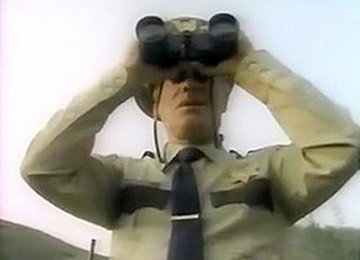 Buzzed (enf), Striped By Bee