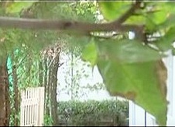 Hot JapStep Mother Fucks