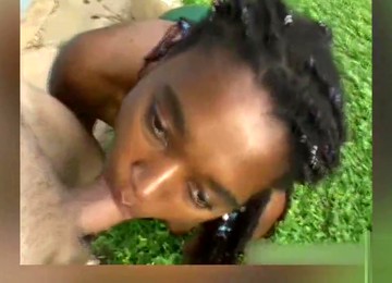 Coloquei A Negra Para Mamar - Sandro Lima