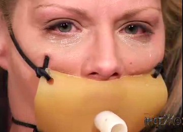 Insex - 2001.12.19 - 1016s December 2000 Live Feed What A Dog 1016 101 Xtc