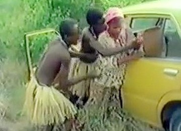 Exotischer Seitentich