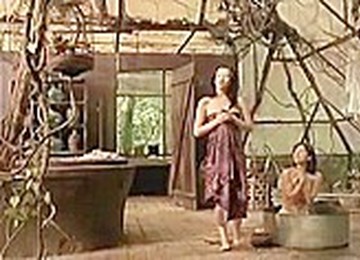 The Chinese Botanists Daughters (2006) - Xiaoran Li