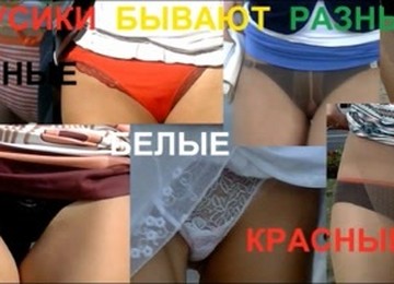 Skirts Pulled Up 2 (Panties)