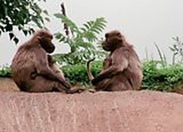 High Def Classics 103 (2K)