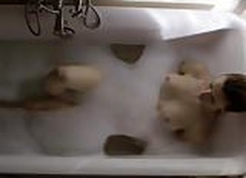 Ashlynn Yennie - Submission Compilation