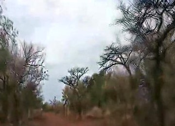 African Wild Sex Jeep Safari