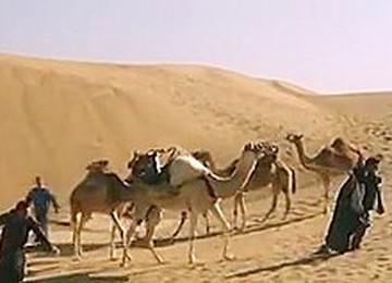 Oasis Of The Zombies (1982)