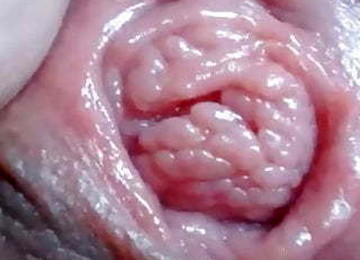 Wet Pussy Close-up With Squirting On LatinaCamTV