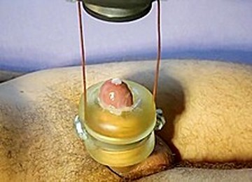 Milking Cum Machine 05