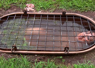 Curvy Messy Slave In Bondage Giving Massive Cock Blowjob In Outdoor BDSM