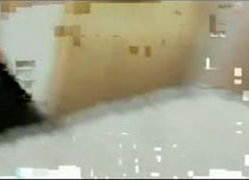 Shagnasty & Muttley (streetwalker)