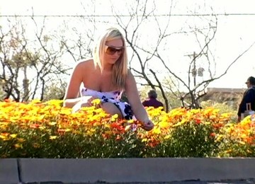 Alison Angel Flashes Her Shaved Coochie In Outdoor Public Scene