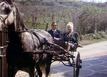 Schamlos Intim(2K) - Vintage