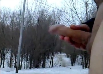 The Shopping Collection