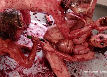 Veronica Vain, Sasha Heart And Katy Kiss - Messy Lesbian Threesome, Food Fetish