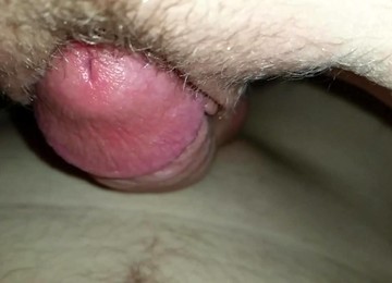 Close Up Slow Motion Fuck