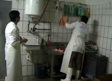 Metzgerinnen Im Schlachthaus