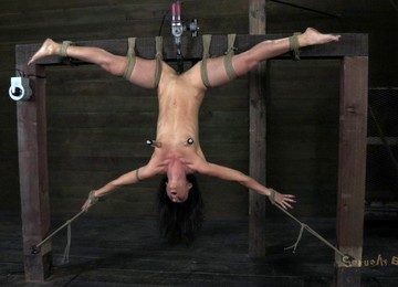 Good-looking Woman Hung Upside Down By Her Randy Master
