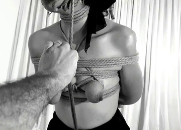 Ehefrau Dp, Toys, Wife Dp