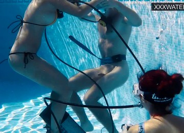 Petite Hairy Teens, Teen Impregnation Creampie, Ex Girlfriend