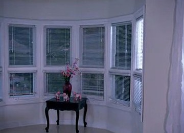 Gia Gets Vaginal Workout