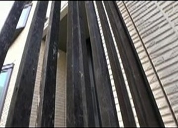 The Understanding Japanese Mother !