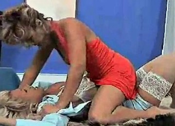 Catfight For The Remote