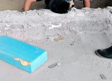 Chinese Trampling 01