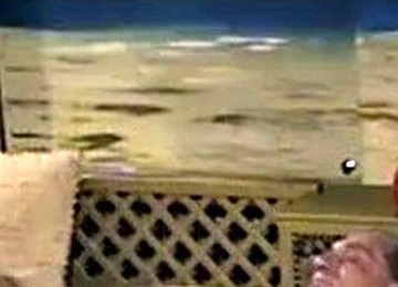 Swingers  Our Pleasure!